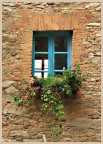 Una finestrella vivace di un palazzo di un vecchio paese toscano, Campiglia M.ma, prov. di Livorno