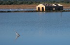 Salina di Vendicari vista dal lato opposto