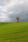 La bellissima campagna della Basilicata