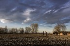 Un progetto di contaminazione fra fotografia e pittura, fra presente e passato. 
Ecco, circa il suo quadro le parole dell'autore:

L'Angelus  un quadro che ho dipinto ricordando i tempi in cui lavoravamo nei campi e mia nonna, ogni volta che sentiva il rintocco della campana, ci faceva smettere per recitare l'angelus in memoria dei poveri defunti