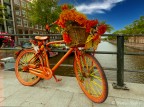 La bici arancione sul Dam