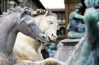 Particolare della statua del "Biancone" a Firenze