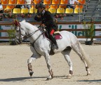 Concorso Ippico internazionale di Napoli