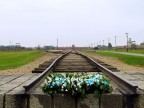 Campo di sterminio di Birkenau-Auschwitz,in questo tratto di ferrovia sono state scaricate milioni di persone in prevalenza ebrei e ben un milione e mezzo di loro,compresi moltissimi bambini,furono bruciati nei forni crematori.