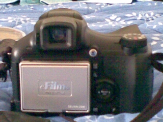 02052008(002).jpg