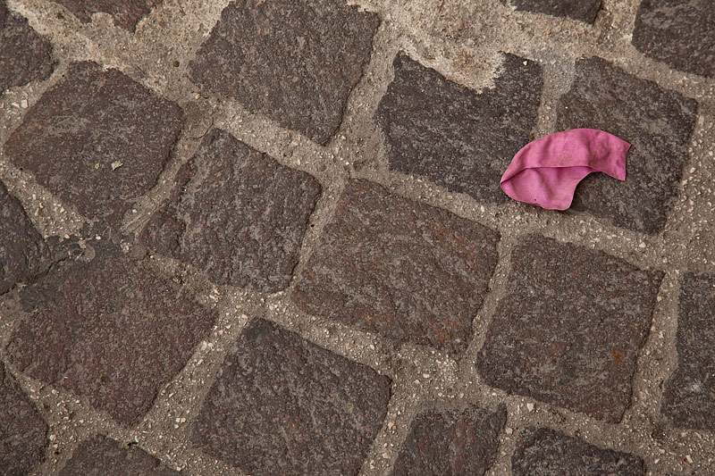 020.jpg