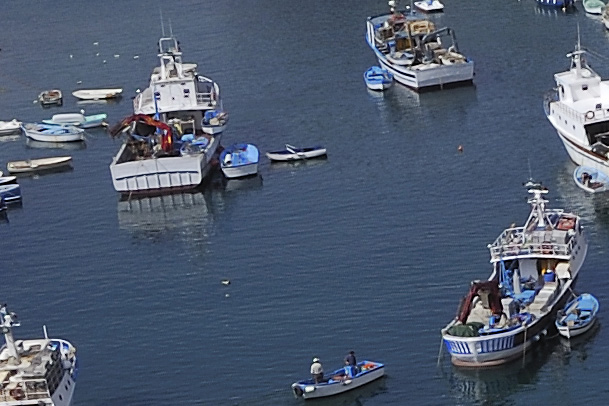 090411_004413crop.jpg
