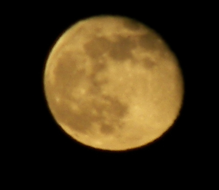 100_0012.jpg