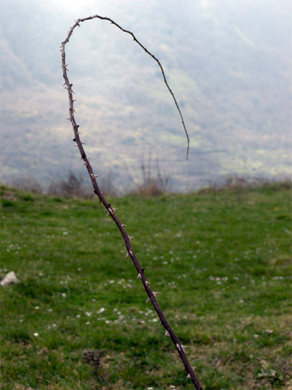 100_3685_small.jpg