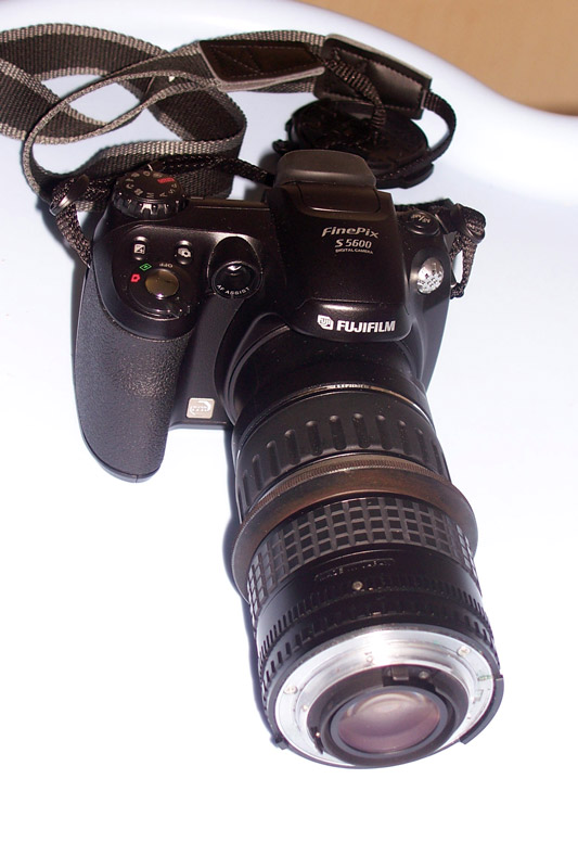 100_4691m.jpg
