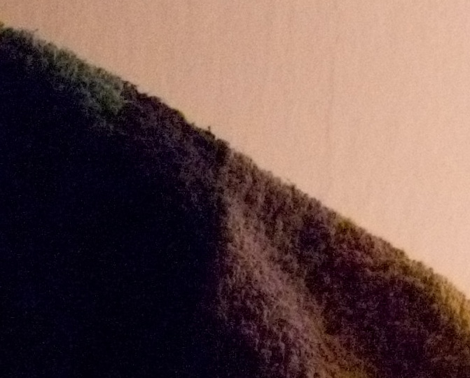 100%crop.jpg
