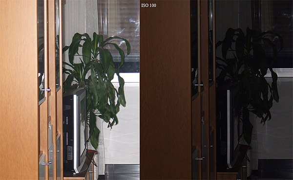 100 iso.jpg
