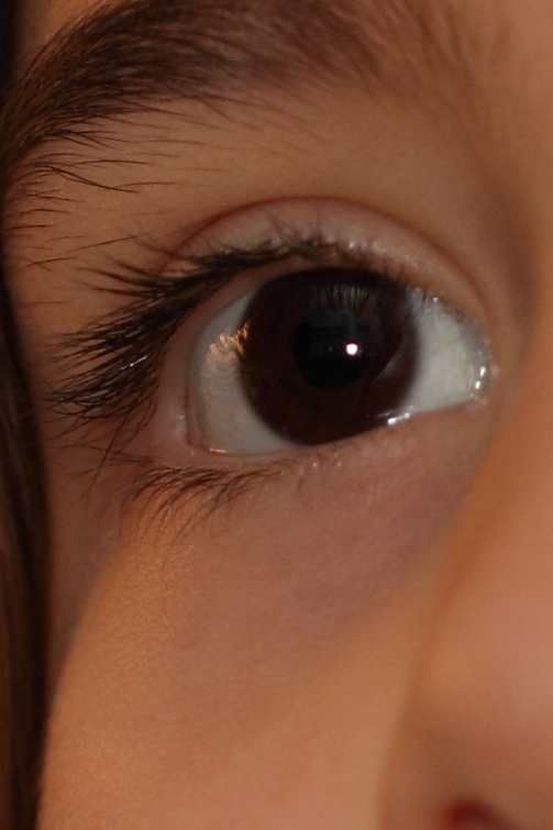 100 macro LIS 28-125crop100.JPG