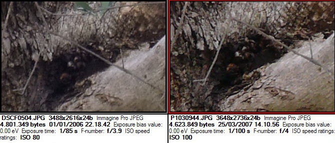 100iso135mmClip4.jpg