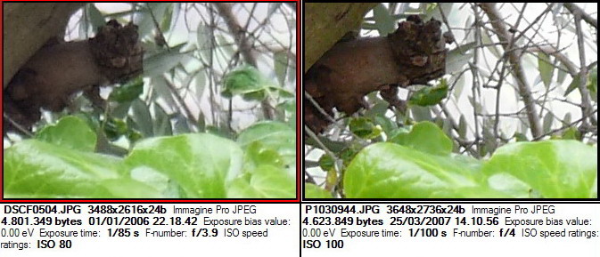100iso135mmClip5.jpg