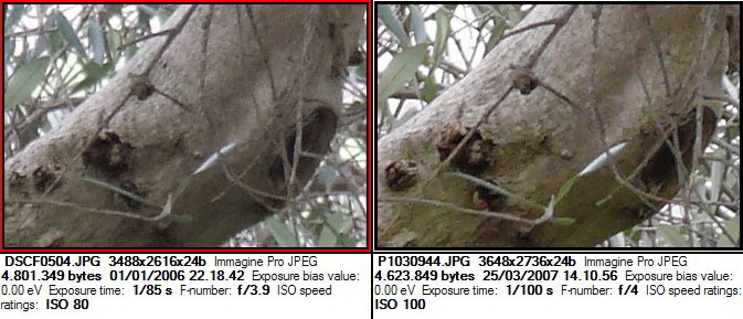 100iso135mmClip6.jpg