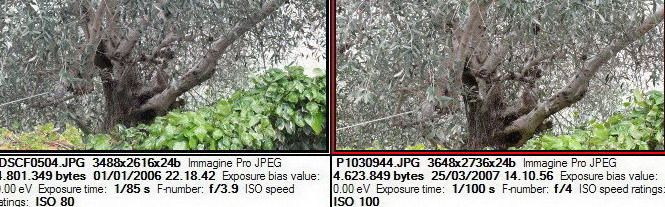 100iso135mmClipintera.jpg