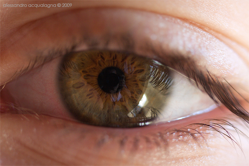 100mm2+ext.jpg