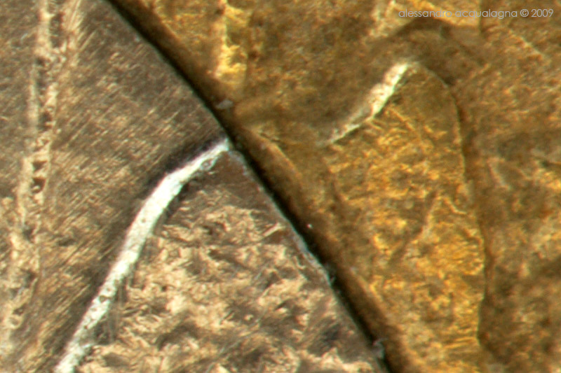 100mm+ext+tubo_crop.jpg