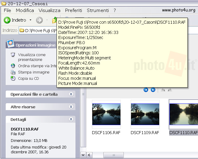 12-RafExt-dll.jpg