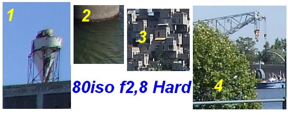 1234.jpg