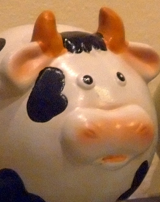 1600iso s7000 crop.jpg