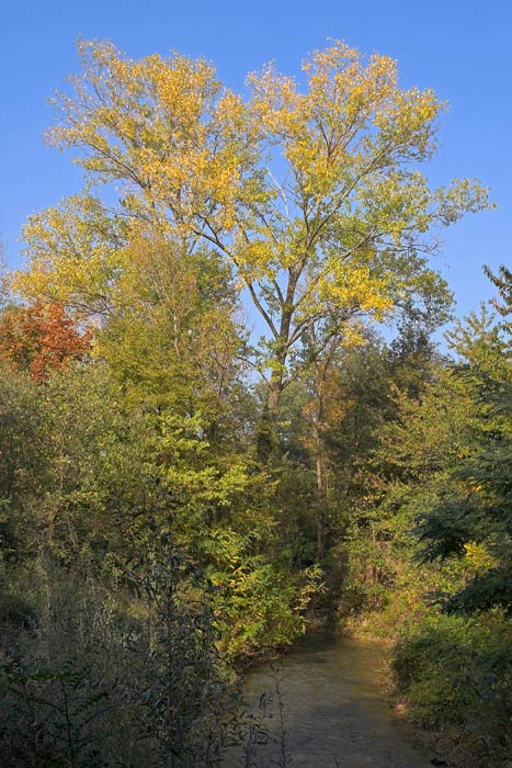 17-50-@-30-f-13.jpg