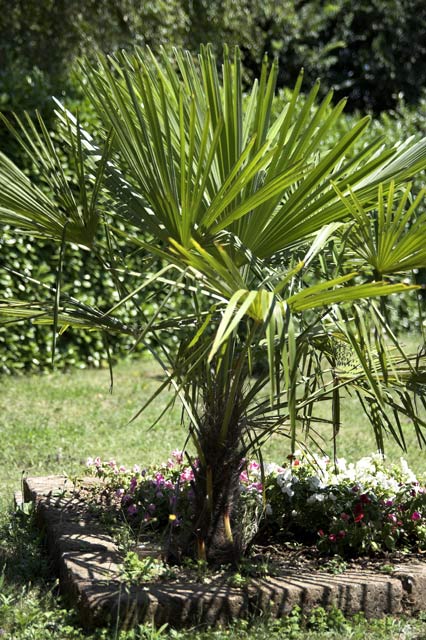 18-50mm(a-50mm)-f2.8.jpg