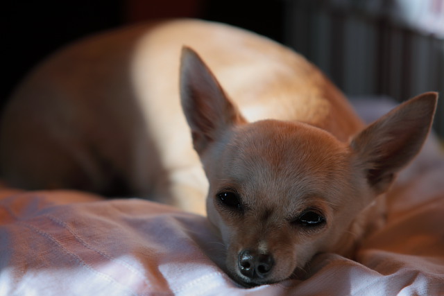 1dmark3_iso100.JPG