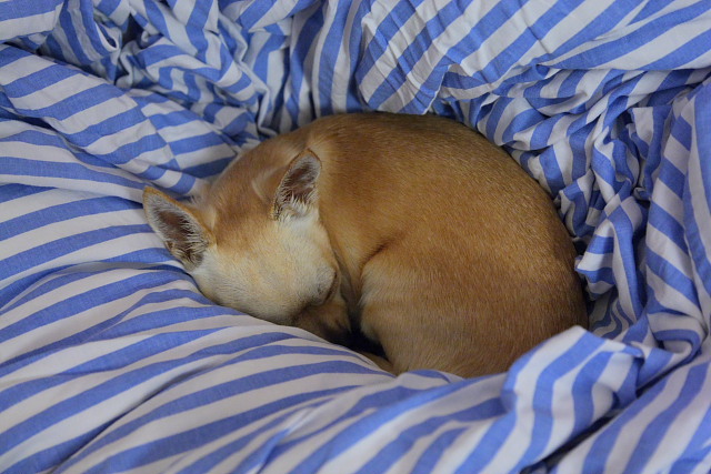 1dmark3_iso3200.JPG