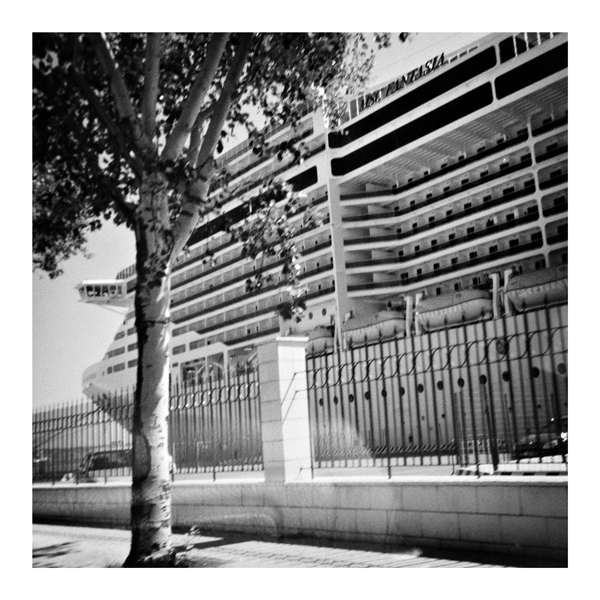 2-msc-fantasia.jpg