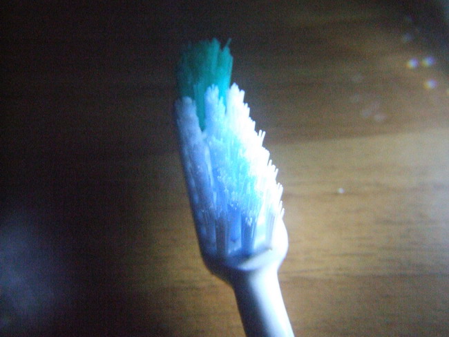 2006_12150043.jpg