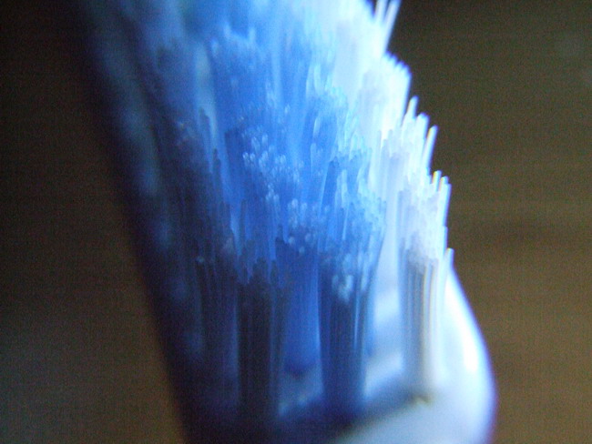 2006_12150044.jpg