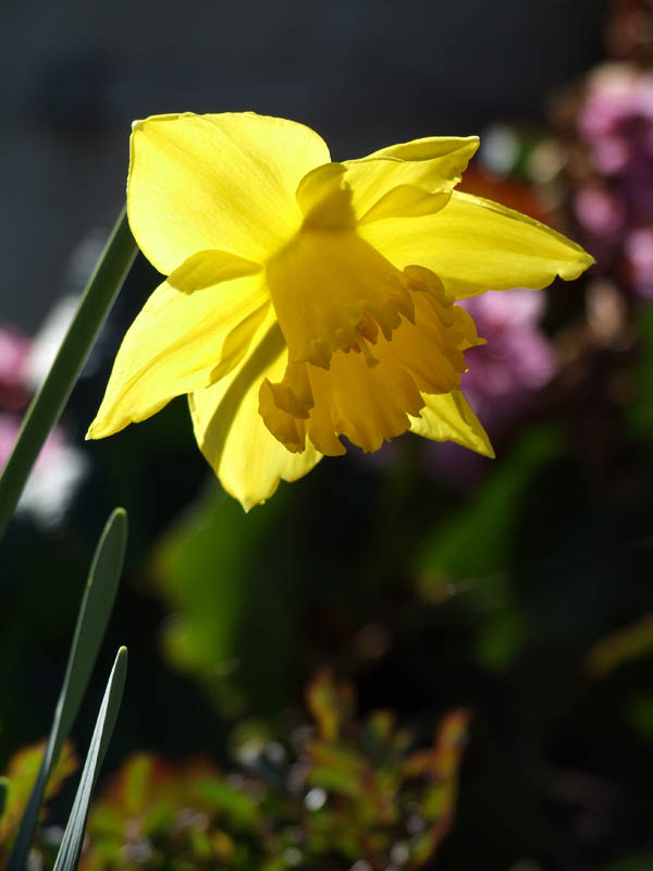 2007_03040130correct.jpg