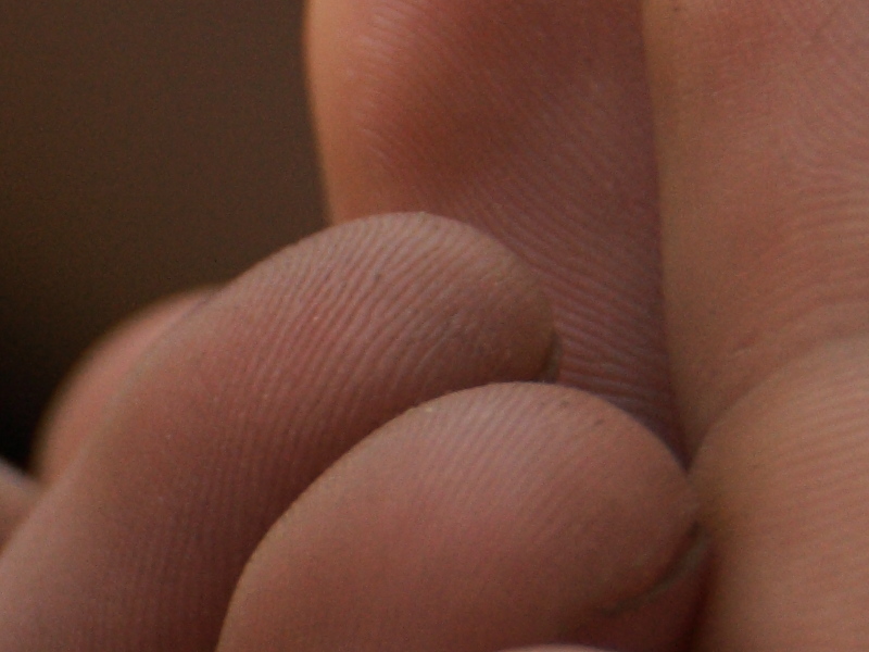 20100528_0028-crop.JPG