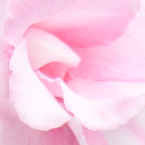 2011_10_25_012crop.jpg