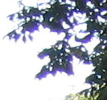 220px-Aberration_chromatique_x2.jpg