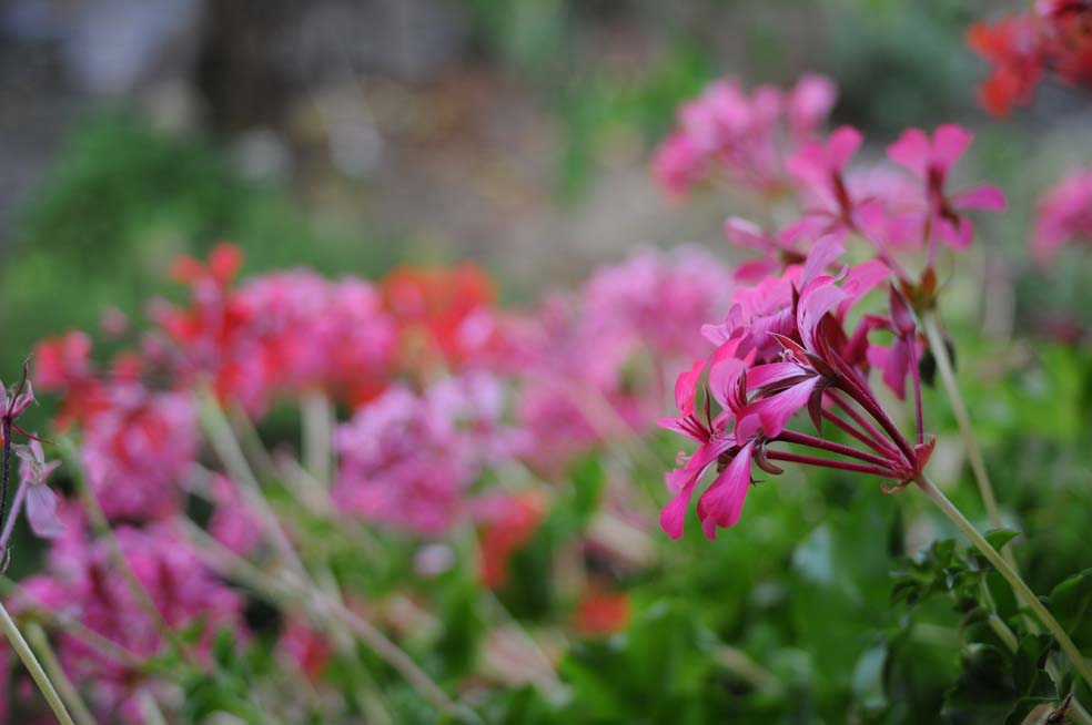 28mm_f2.8_1-125_100__449.jpg