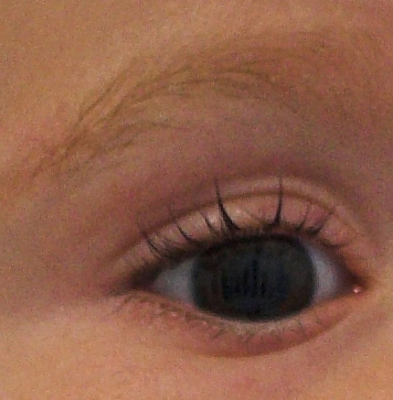 30-14_crop.jpg
