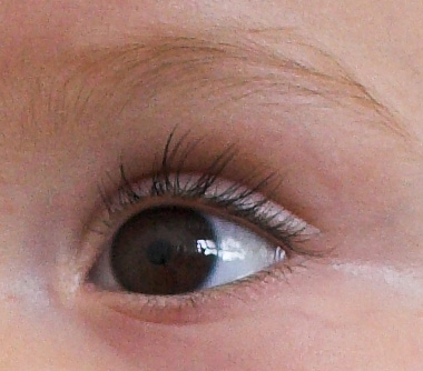 30-28_crop.jpg