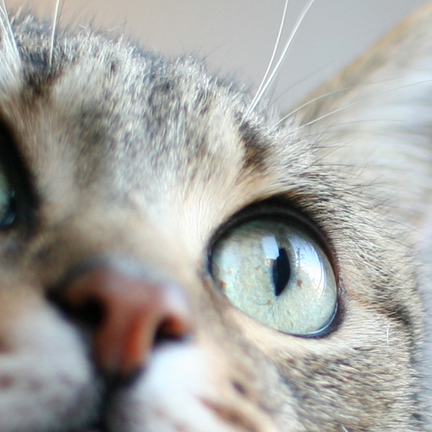 30mm_crop.JPG