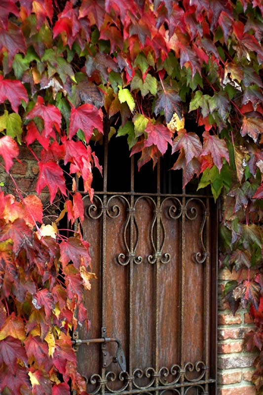31_autunno.jpg