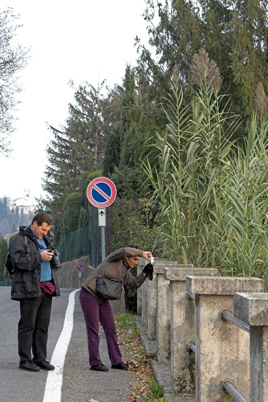 33_ing-e-signora.jpg