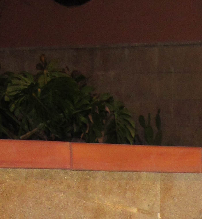 400 iso 1.jpg