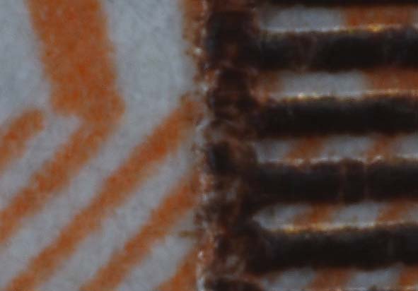 50mm crop.jpg