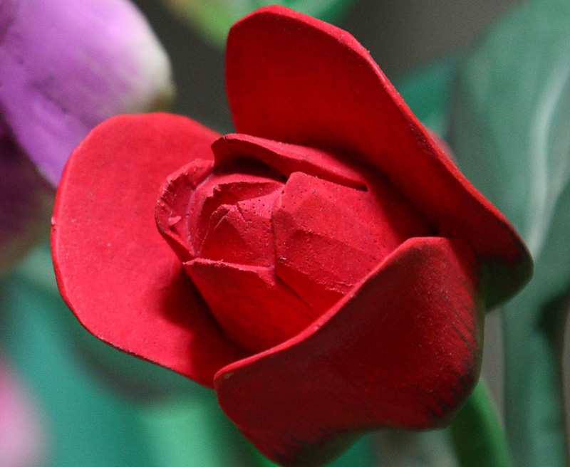 5C3U6536_crop.jpg