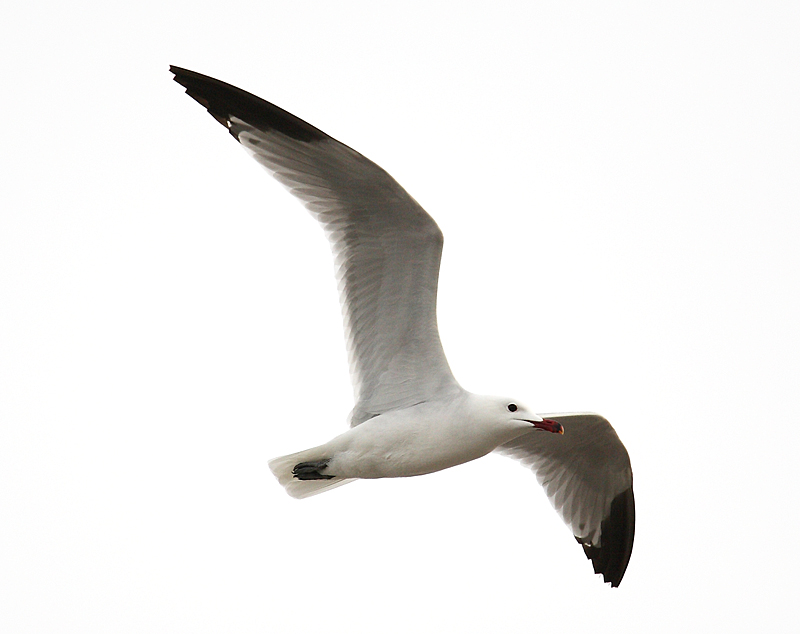 5C3U6779_1.jpg