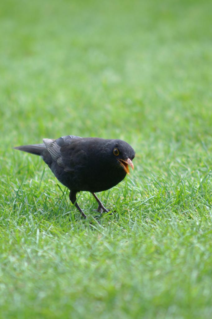 75-300_001.jpg