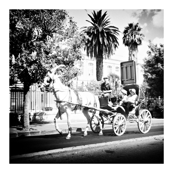 9-carrozza-e-universita.jpg