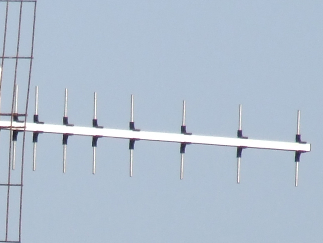 9600-300mm-crop.jpg